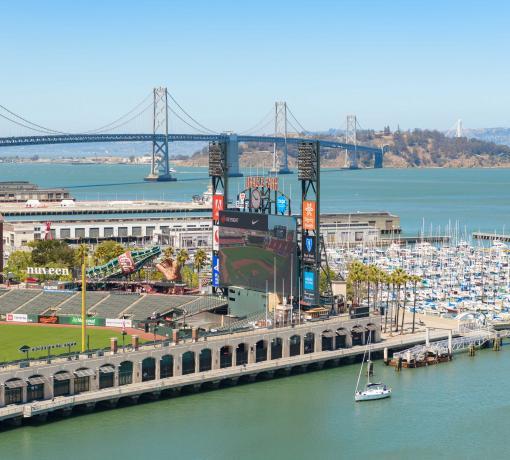 Local Area - Image 1