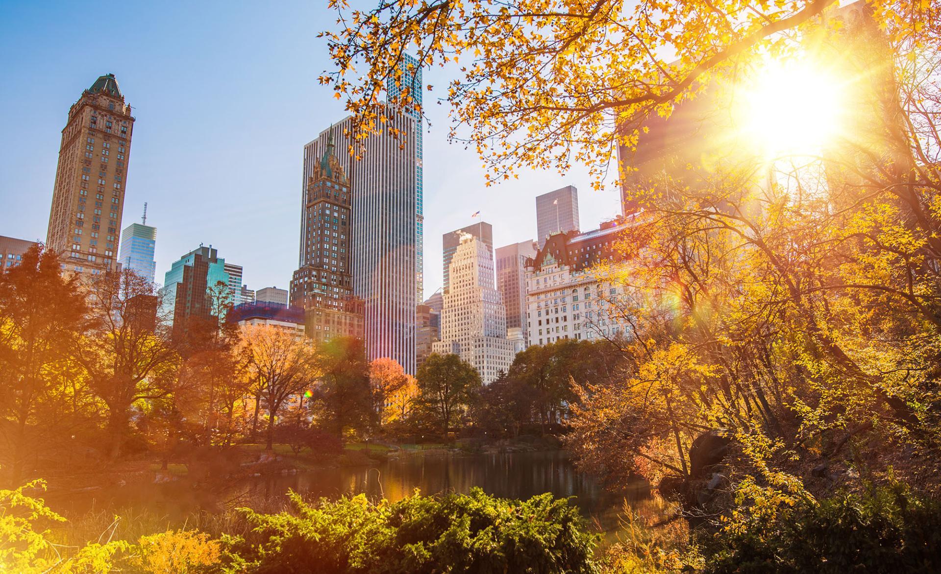 Local Area - Image 5