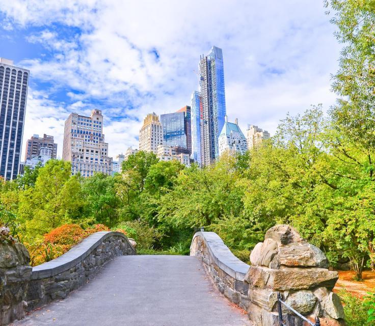 A City Skyline With Trees And A Stone Wall
