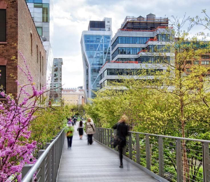 People Walking On A Bridge