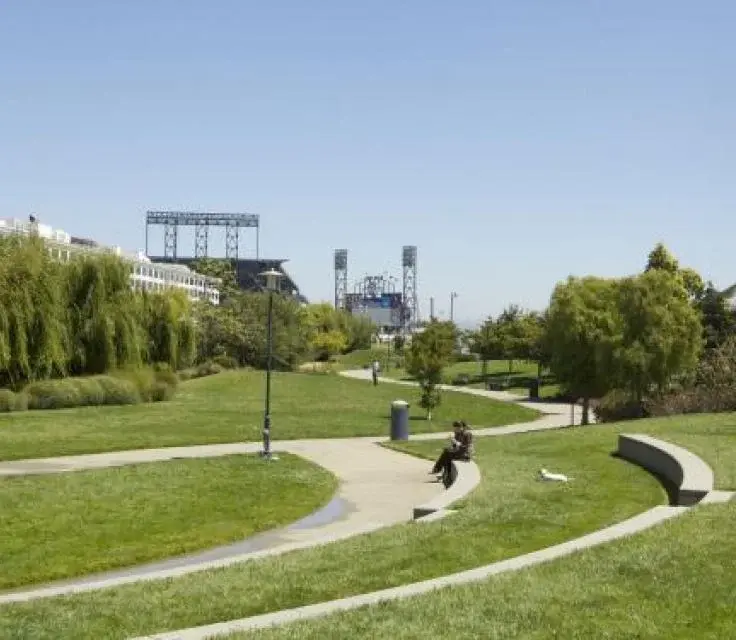 Local Area - Image 9