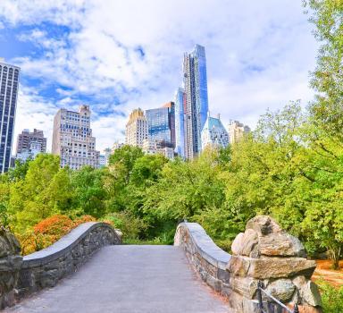 Région locale - Image 4