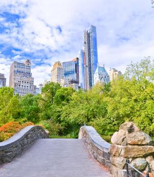 View of Central Park