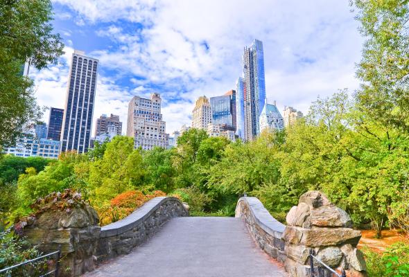 View of Central Park