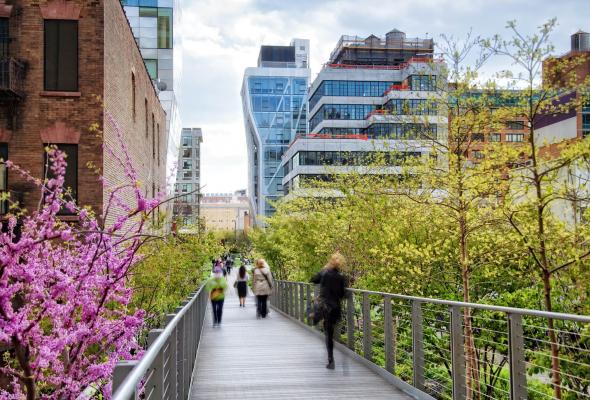 The High Line