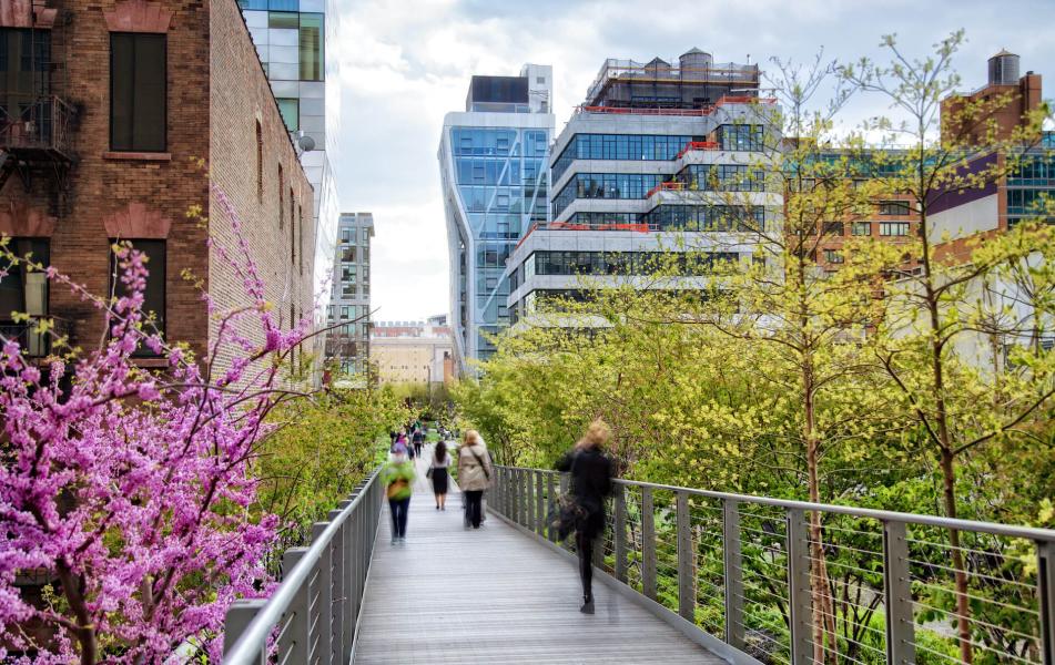 The High Line