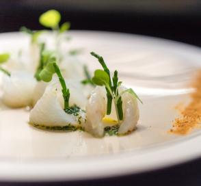 plated scallops
