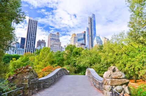 View of Central Park