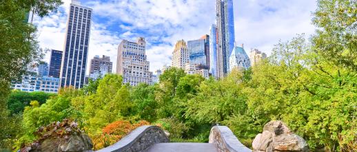 View of Central Park